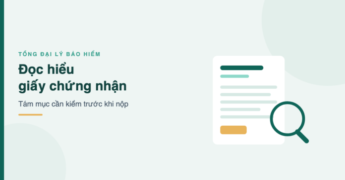 Tám mục cần kiểm trên giấy chứng nhận bảo hiểm du lịch